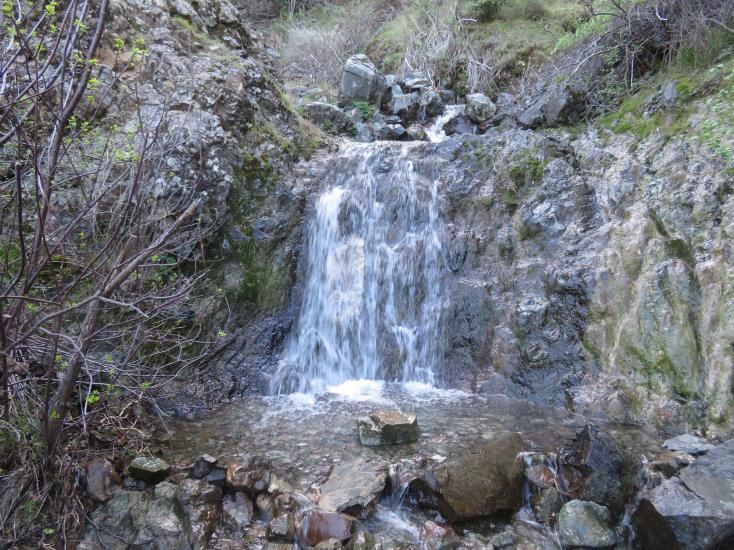 Wildflowers and Waterfalls in Concord - Visit Concord